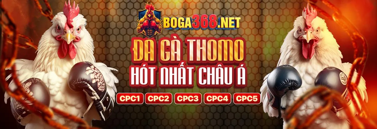 Đá gà trực tuyến kịch tính tại tin88 nổ hũ